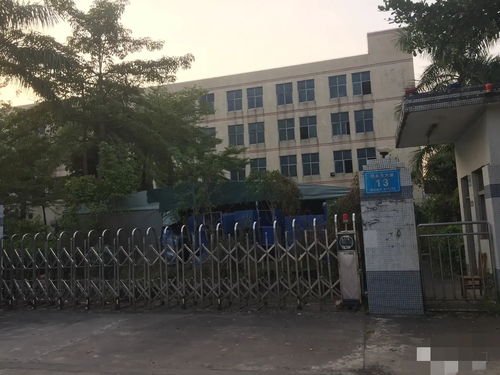 人去樓空后的堅(jiān)守 東莞某工廠倒閉后的安保防衛(wèi)用品與兩位保安的故事